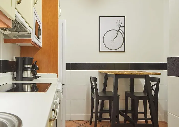 The Collection - Catedral *